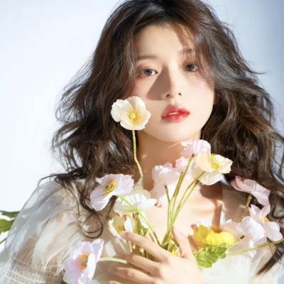 菜鸟总动员